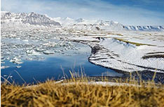Illustration-Islande-02.jpg