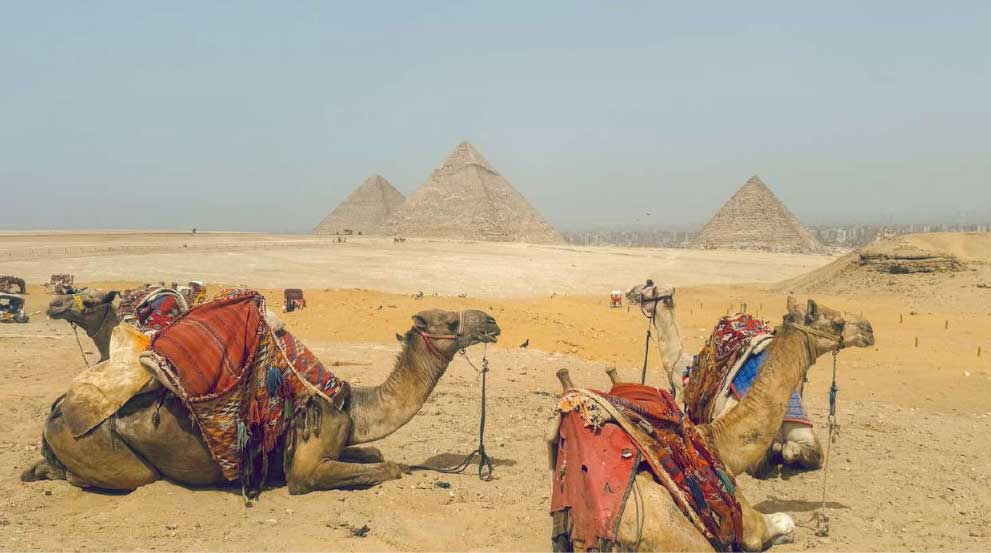 Illustration-Egypte-01.jpg